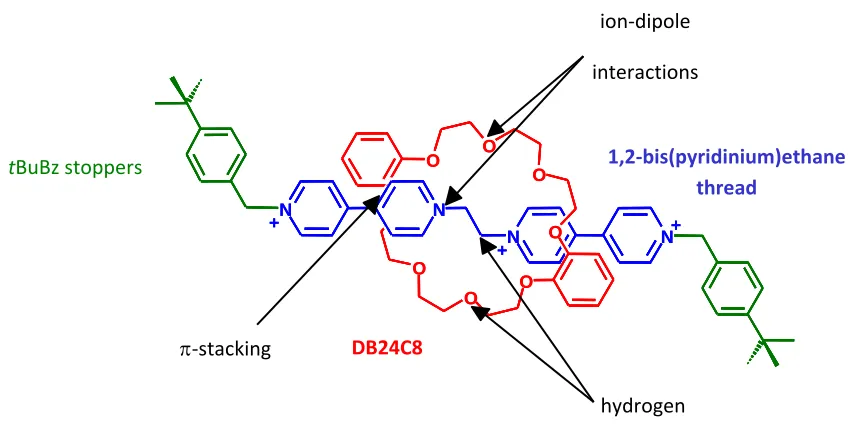 Figure 1-7 – The Recognition motif by Loeb and Wisner 