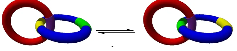 Figure 1-13 – An illustrated example of a [2]catenane capable of molecular motion 