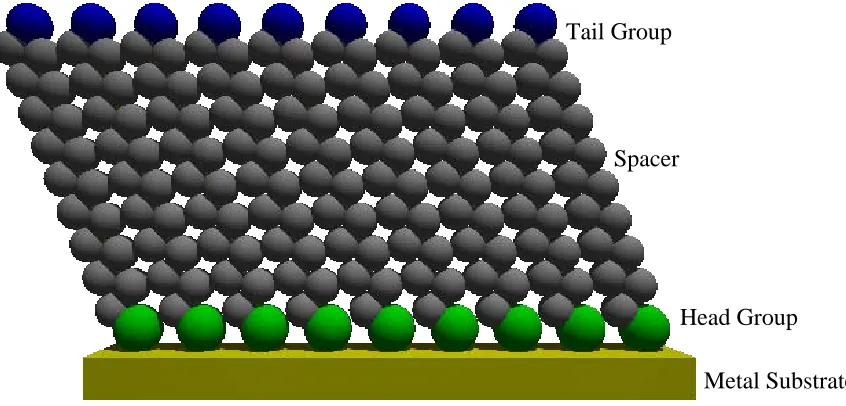 Figure 1-15 An illustrated example of a well packed SAM  