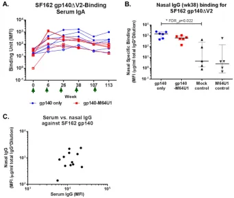 FIG 5 Longitudinal binding of serum IgA to SF162 gp140ΔV2 (A), week 38 nasal IgG binding to SF162gp140ΔV2 (B), and correlation between levels of serum and nasal IgG binding to SF162 gp140ΔV2 at week38 (C)