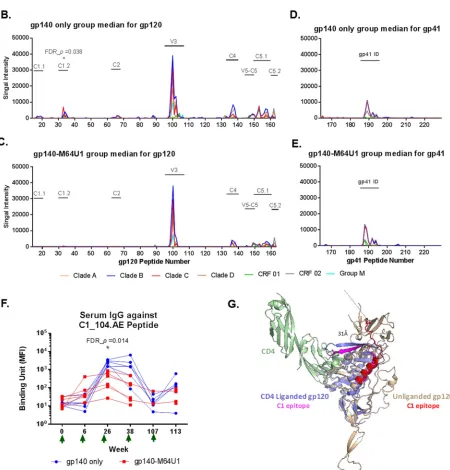 FIG 2 Linear epitope speciﬁcity of serum IgG by epitope mapping (A to E) and BAMA (F)