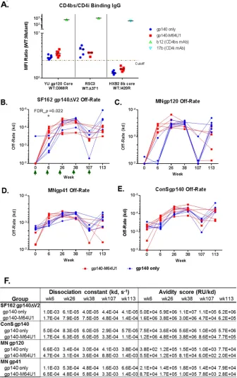 FIG 3 CD4bs and CD4i speciﬁcities (A) and off-rate measurements for SF162 gp140ΔV2 (B), MN gp120, (C),respectively