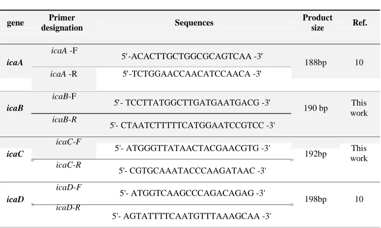 Table 2. List of primers used in this study  