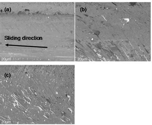 Figure 2- 6 Peripheral crack which parallel to each other distributed on both edges 