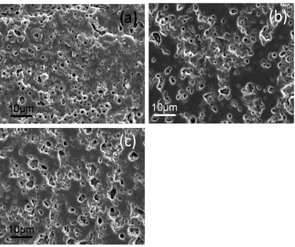 Figure 3-2 SEM micrographs of surface morphologies of polished sample 