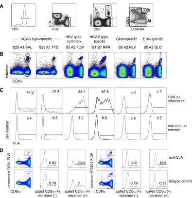 FIG 1 Expression of CLA by circulating herpesvirus-speciﬁc CD8lymphocytes using forward/side scatter