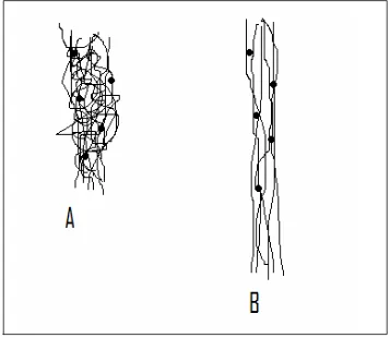 Figure 2.1: Schematic drawing of an unstressed polymer. The dots represent cross-links