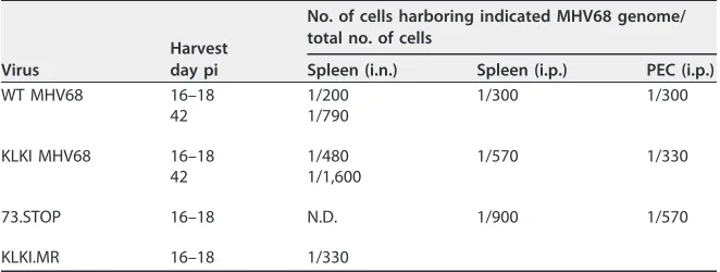 FIG 2 KLKI replication is reducedt in vitro and in vivo. (A) NIH 3T12 ﬁbroblasts were infected with WT, KLKI, KLKI.MR, or 73.STOP MHV68at an MOI of 5 PFU/cell (single-step; left panel) or 0.05 PFU/cell (multi-step; right panel)
