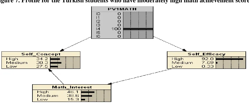 Figure 7. Profile for the Turkish students who have moderately high math achievement score