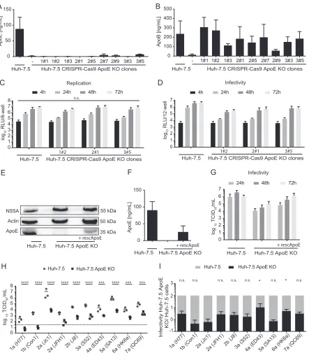 FIG 5 HCV replication and virus production in Huh-7.5 cell clones with ApoE knockout. (A and B) Individual Huh-7.5 clones deﬁcient inendogenous ApoE expression were generated via CRISPR/Cas9-mediated knockout, subcloned, and characterized for ApoE (A) or A