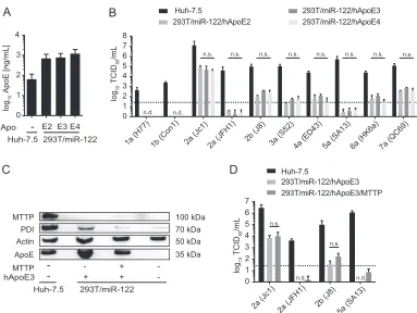 FIG 3 Ability of ApoE allelic isoforms and MTTP to support infectious virus production of HCV chimeras in 293T/miR-122cells