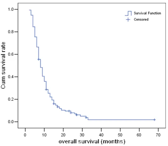 Figure 1. Overall survival of the 156 EOPC patients.