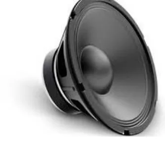 Figure 7 shown the image of speaker.  