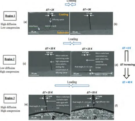 Figure 1: Samples micrographs at various temperature values [16].