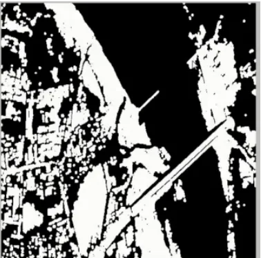 Figure 4: Binary image 