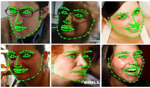 Fig 1: Structural salience mapping of semantic features 