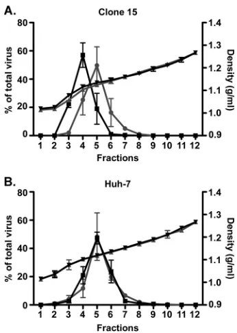 FIG 8 Polarized clone 15 cells and nonpolarized Huh-7 cells were infected with HCV. Twenty-four hoursand separated on an iodixanol buoyant-density gradient