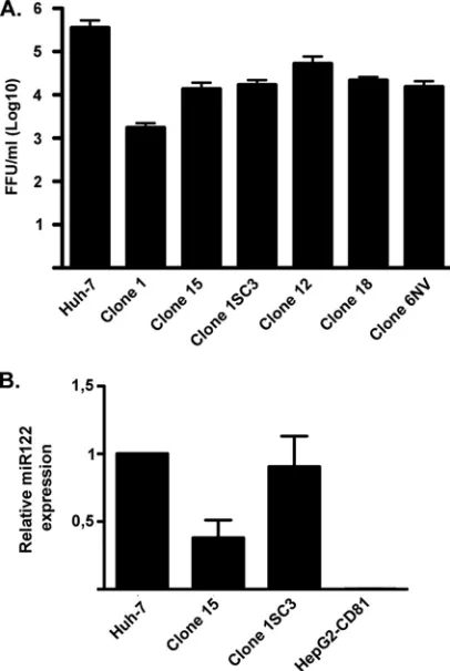 FIG 3 (A) The same viral stock was titrated on different nonpolarized HepG2-CD81 clones by countingFFU