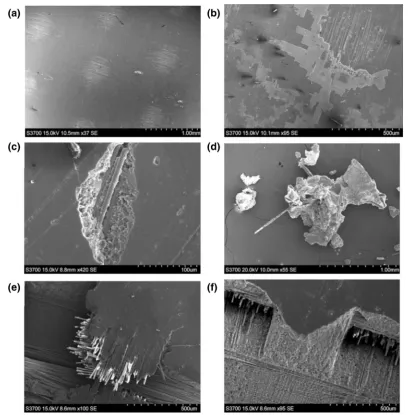 Fig. 5  SEM images of the surfaces of a: a control specimen that did not undergo any testing, b specimen that was subject to 3.5% salt water at 40  m  s−1 and 75°, c specimen that was subject to neutral water at 40 m s−1 and 60°, d piece of debris that was collected from 