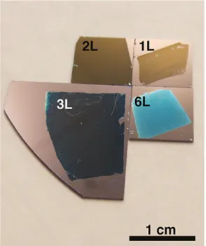 Figure 1.3. Transferred different layer MoS2 film onto SiO2/Si substrate.  