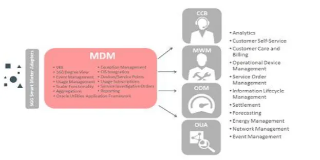 Figure 1.  Oracle Utilities MDM capture massive data sets, validates and corrects data and allows data to be leveraged easily across multiple platforms