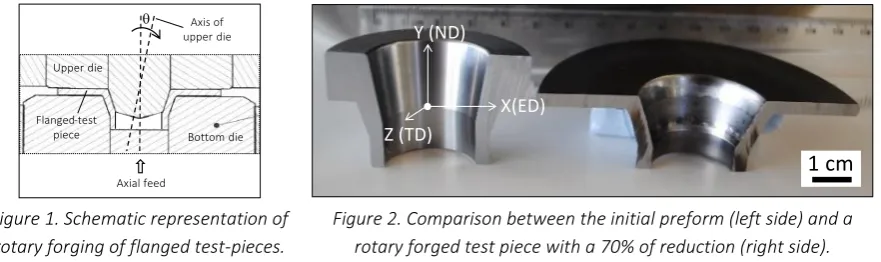 Figure 1. Schematic representation of 