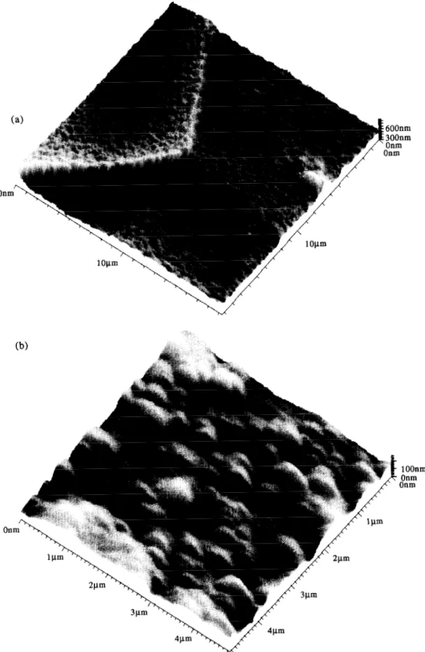 Figure  5.  Three-dim  lensional  SFM  images  of  nitrided  surface  topography  (sample  polarisation  =  -  20  V):  (a)  grain  boundaries  between  and  (b I) high  resolut  ion  image  of  typical  grain  structure