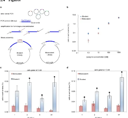 Figure 2.1: A bivalent library yields a higher frequency of putative high affinity clones