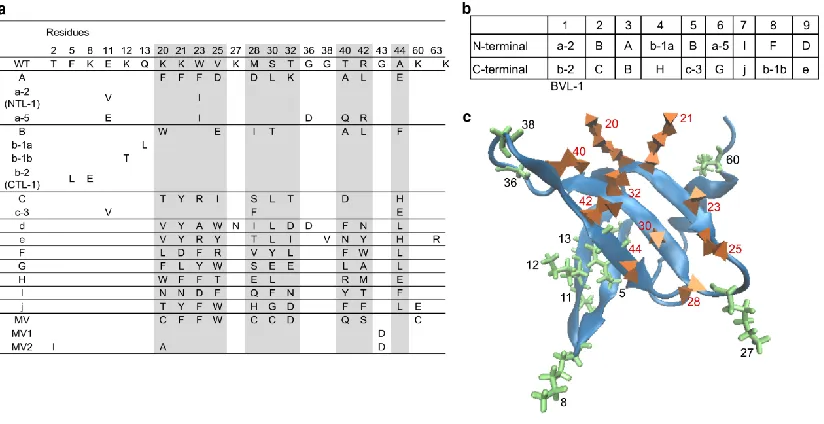 Figure 2.2: Analysis of nine clones from the highest affinity lysozyme ligands selected
