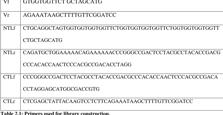 Table 2.1: Primers used for library construction. 