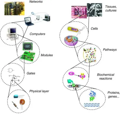 Figure 1.1. Computers and living organisms are constructed from a similar bottom-up approach