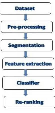 Fig 1.1:BASIC STEP OF IMAGE PROCESSING   