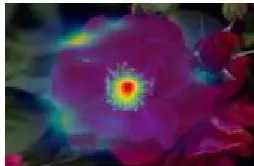 Fig 4.1: is the original image which is given to the input. 