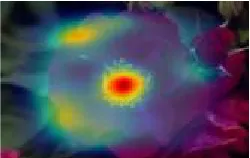 Fig 4.4: shows the saliency map after applying the blur ratio at scale 40%.  