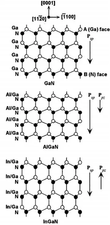 Figure 1.5 Spontaneous (PSP) and piezoelectric (PPZ) field directions for (upper) unstrained GaN, (middle) tensile-strained AlGaN, and (lower) compressive-strained InGaN
