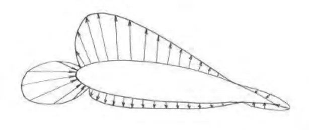 Figure 2.2: Static Pressure Distribution (Source: Bray, 2003) 