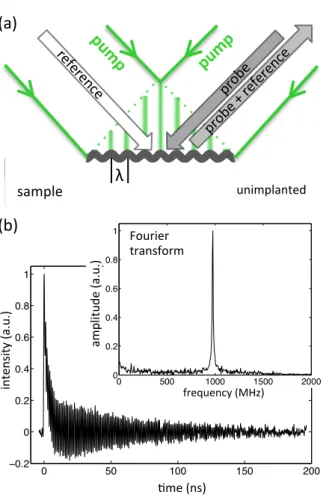 Figure	  3:	  Transient	  grating	  surface	  acoustic	  wave	  measurements:	  (a)	  Schematic	  of	  the	   experimental	  setup.	  (b)	  Measured	  intensity	  signal	  plotted	  as	  a	  function	  of	  delay	  time	   relative