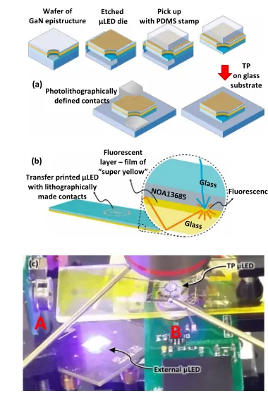 Fig. 2. (a) Illustration of the transfer printing process. (b) Schematic representation of thestructure of the device