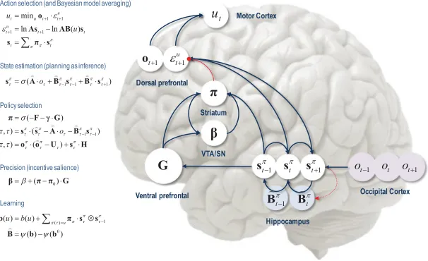 Figure 1: Schematic overview of belief updates for active inference under dis-crete Markovian models