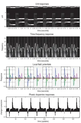 Figure 6: Theta-gamma phase coupling during spatial navigation. Simulatedelectrophysiological responses as in the previous ﬁgure