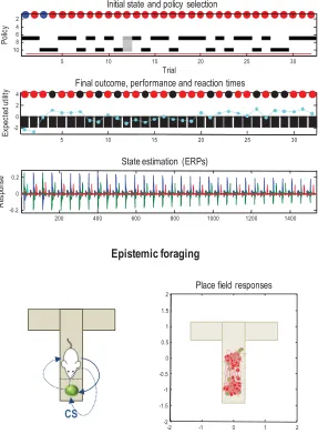 Figure 10: Epistemic foraging. This ﬁgure reports the (behavioral and physio-logical) responses over the 32 trials as in Figure 4