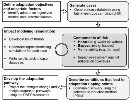 Fig. 1 Summary of methodological steps to describe conditions leading to adaptation 