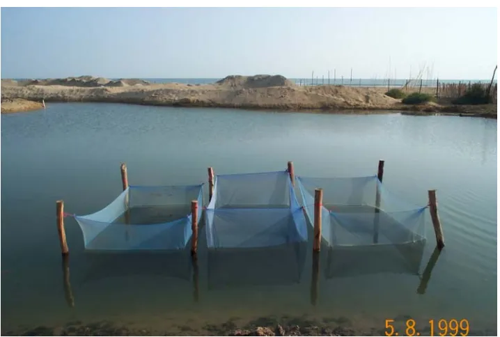Figure 2.4: Cage pond [The Aquaculture Information Network Center] 