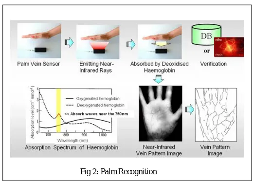 Fig 2: Palm Recognition 