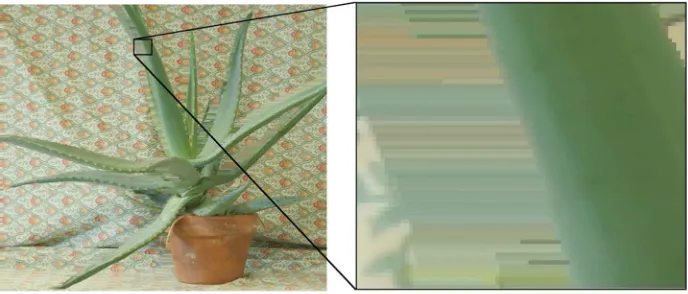 Fig. 1 Dependent and independent regions of synthesized left view (view 1) of Aloe image from center view(view 3)
