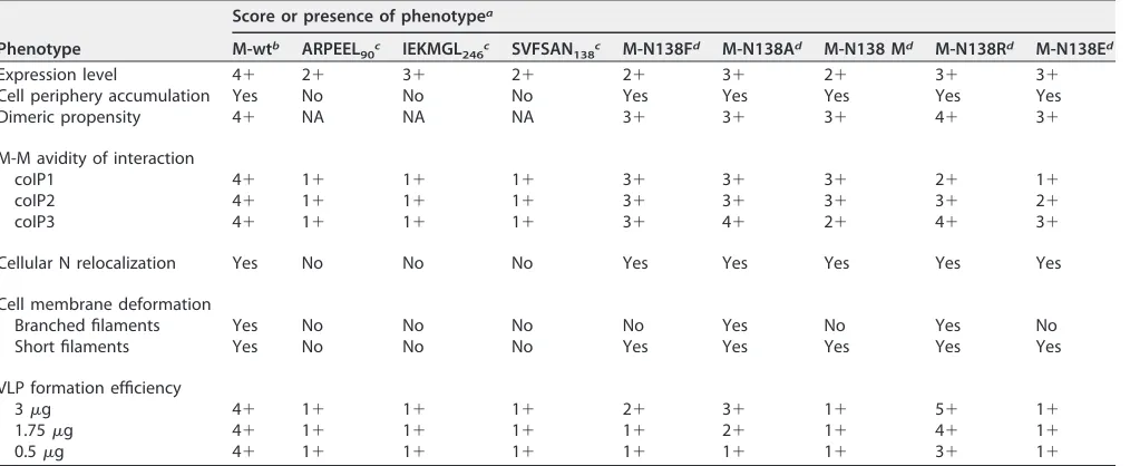 TABLE 1 Summary of properties of M-wt and its derivative mutants
