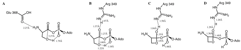 Figure 5.6. A) Optimized Reactive complex with selected bond distances (angstroms) highlighted