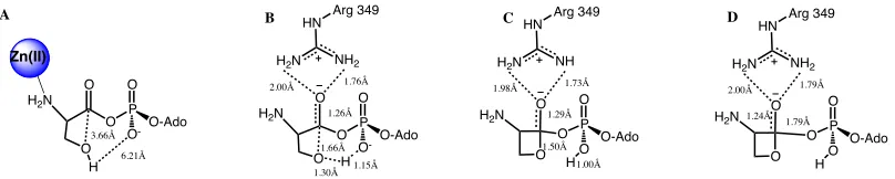 Figure 5.8 . A)Optimized Reactive complex with selected bond distances (angstroms) highlighted