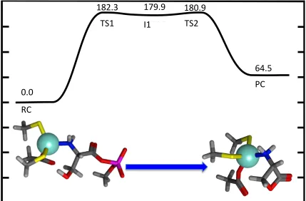 Figure 5.9. Calculated PES for the self cyclization reaction in the native enzyme, B3LYP 