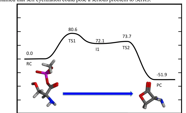 Figure 5.5. Calculated PES for the self cyclization reaction without Zn(II) and an neutral 